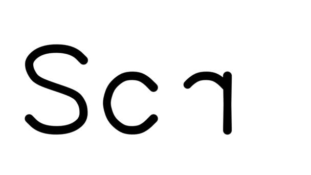 Scar Handwritten Text Animation Various Sans Serif Fonts Weights — 비디오
