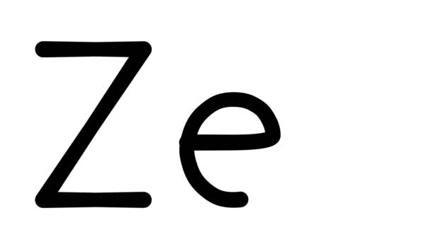 Zen手写体动画在各种免提字体和重量中的应用 — 图库视频影像