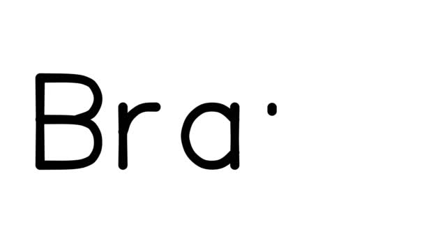 Çeşitli Sans-Serif Yazı Tipleri ve Ağırlıkları ile Braun El Yazısı Metni Canlandırması