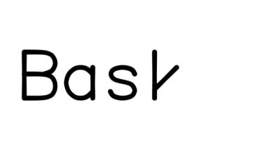 Çeşitli Sans-Serif Yazı Tipleri ve Ağırlıkları ile Sepet El Yazısı Metni CanlandırmasıName