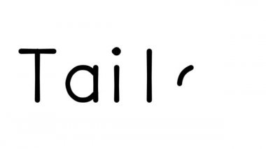 Çeşitli Sans-Serif Yazı Tipleri ve Ağırlıkları ile Yazılı Metin CanlandırmasıName