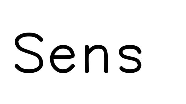 Sense Handskriven Text Animation Olika Sans Serif Teckensnitt Och Vikter — Stockvideo