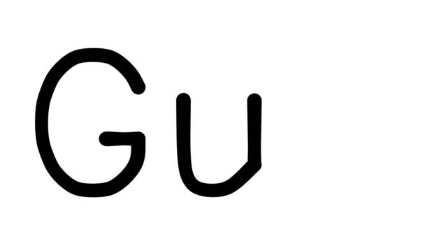 Gull手写体动画在各种免提字体和重量中的应用 — 图库视频影像