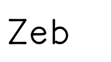 Zebra El Yazılı Metin Canlandırması Çeşitli Sans-Serif Yazı Tipleri ve Ağırlıkları