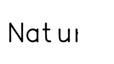 Çeşitli Sans-Serif Yazı Tipleri ve Ağırlıkları ile Doğal Metin Canlandırması