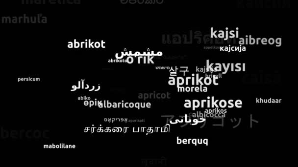 Aprikose Übersetzt Weltsprachen Endlosschleife Zoomen Wordcloud Maske — Stockvideo