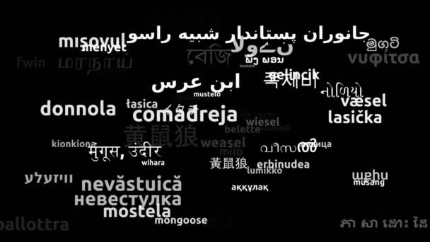 Lasička Přeloženo Světových Jazycích Nekonečná Smyčka Přiblížení Maska Wordcloud — Stock video