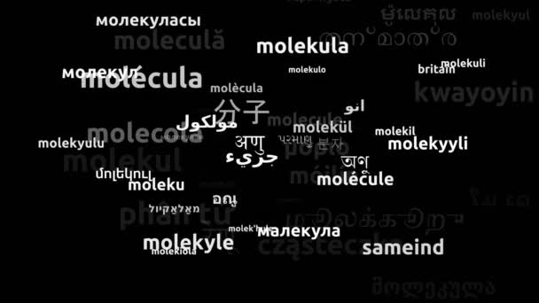 Molecule Vertaald Wereldwijd Talen Endless Looping Zooming Wordcloud Mask — Stockvideo