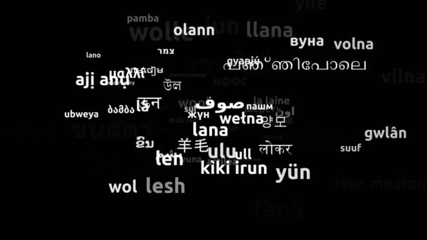 Wolle Übersetzt Weltsprachen Endlosschleife Zoomen Wordcloud Maske — Stockvideo