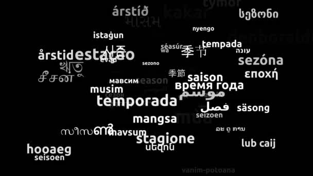Säsong Översatt Till Hela Världen Språk Endless Looping Zooming Wordcloud — Stockvideo
