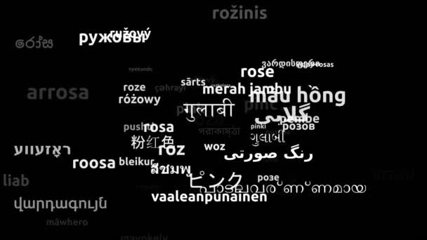 Rose Traduit Langues Dans Monde Entier Boucle Sans Fin Zoom — Video