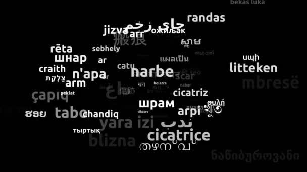 Cicatriz Traducido Idiomas Mundiales Endless Looping Ampliación Máscara Wordcloud — Vídeo de stock