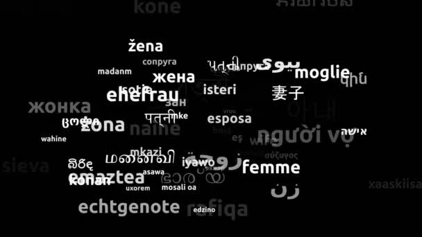 被翻译成74种世界语言的妻子无休止地循环3D缩放Wordcloud掩蔽 — 图库视频影像