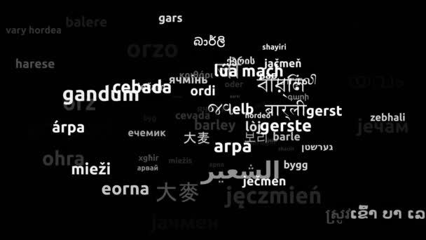 Barley Translated Worldwide Languages Endless Looping Zooming Wordcloud Mask — Stock Video