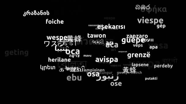 Avispa Traducido Idiomas Mundiales Endless Looping Ampliación Máscara Wordcloud — Vídeos de Stock