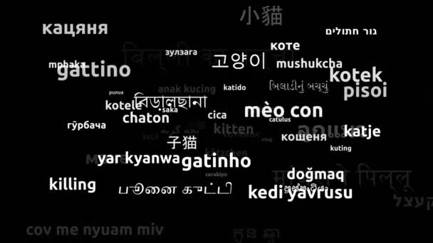 用57种世界语言翻译猫咪无限循环3D缩放沃德云掩蔽 — 图库视频影像