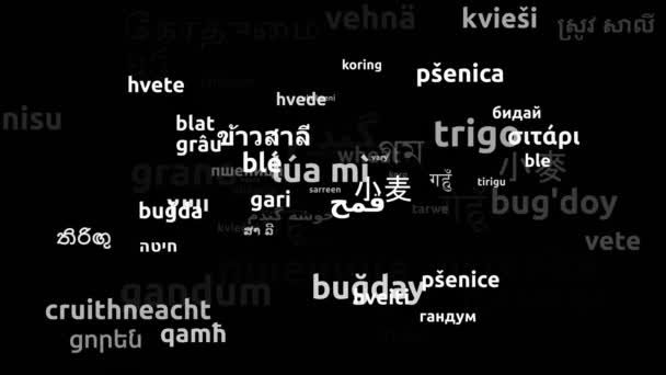 Tarwe Vertaald Wereldwijd Talen Endless Looping Zooming Wordcloud Mask — Stockvideo