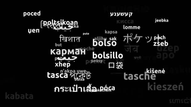 Poche Traduit Langues Dans Monde Entier Boucle Sans Fin Zoom — Video