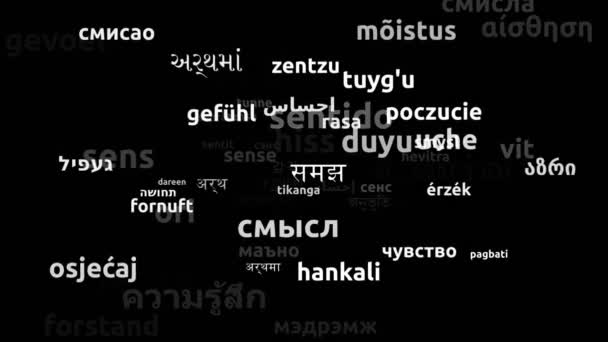 Sense Translated Worldwide Languages Endless Looping Ampliación Máscara Wordcloud — Vídeo de stock