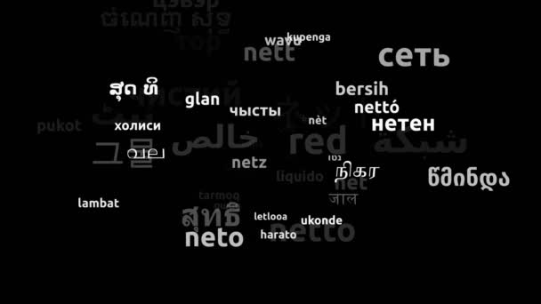 Net Oversat Til Hele Verden Sprog Endeløs Looping Zooming Wordcloud – Stock-video