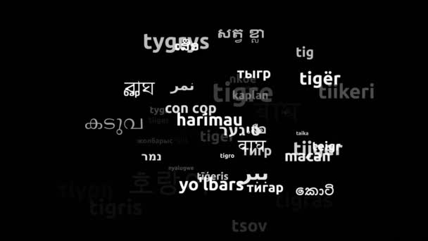 Tigre Traducido Idiomas Mundiales Endless Looping Ampliación Máscara Wordcloud — Vídeos de Stock