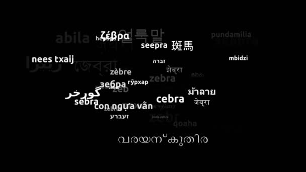 Zebra Översatt Till Hela Världen Språk Endless Looping Zooming Wordcloud — Stockvideo