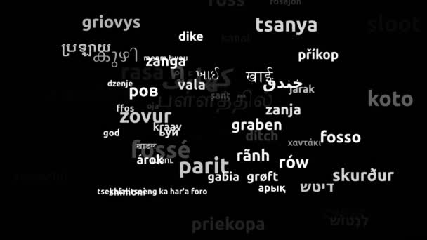 Ditch Translated Worldwide Languages Endless Looping Zoom Wordcloud Mask — Stock video