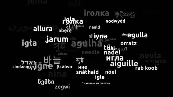 用70种世界语言连续循环3D缩放Wordcloud掩蔽的针头翻译 — 图库视频影像