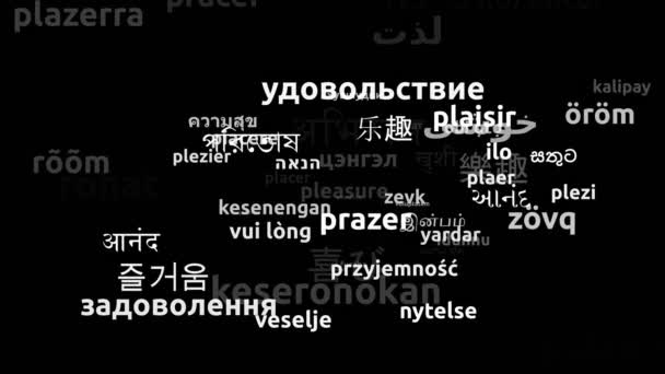 60の世界中の言語で翻訳された喜びエンドレスループ3Dズームワードクラウドマスク — ストック動画