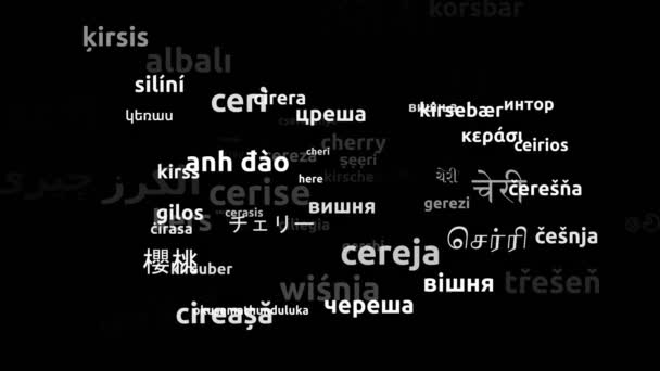 Cherry Traducido Idiomas Mundiales Endless Looping Zoom Wordcloud Mask — Vídeo de stock