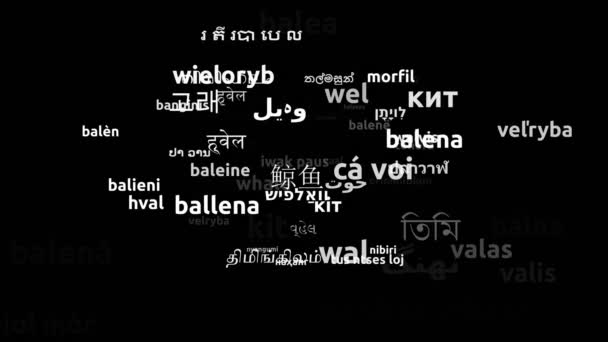 Whale Μεταφράστηκε Worldwide Languages Endless Looping Zooming Wordcloud Mask — Αρχείο Βίντεο
