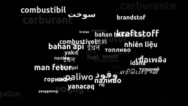 Combustible Traducido Idiomas Mundiales Endless Looping Zoom Wordcloud Mask — Vídeos de Stock