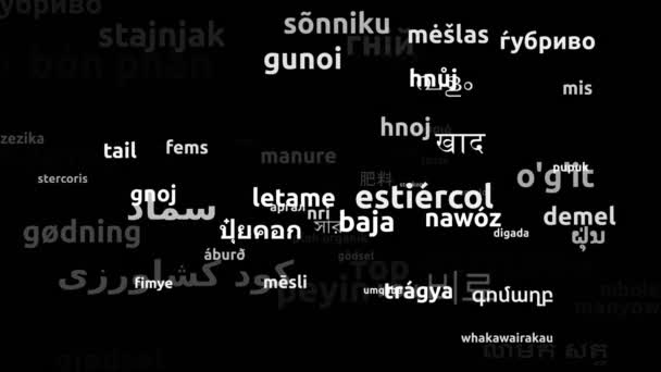Manure Translated Worldwide Languages Endless Looping Zooming Wordcloud Mask — Stock Video