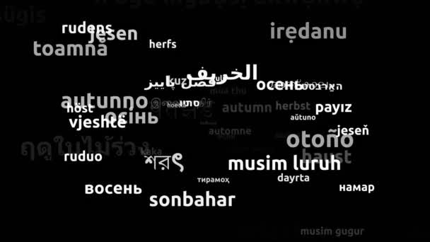 Efterår Oversat Worldwide Languages Endless Looping Zooming Wordcloud Mask – Stock-video