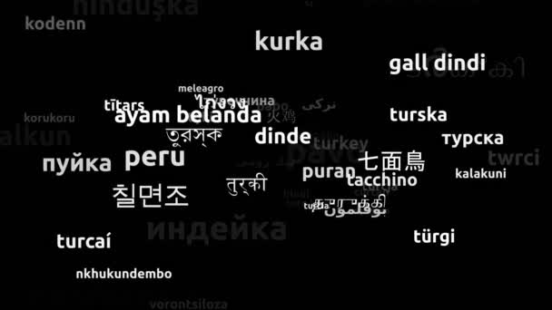 Turkije Vertaald Wereldwijde Talen Endless Looping Zooming Wordcloud Mask — Stockvideo