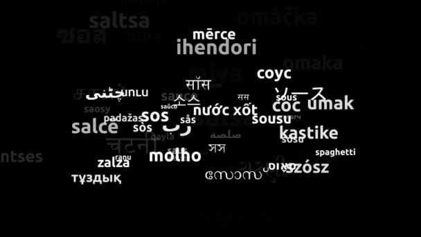Salsa Traducido Idiomas Mundiales Endless Looping Ampliación Máscara Wordcloud — Vídeo de stock