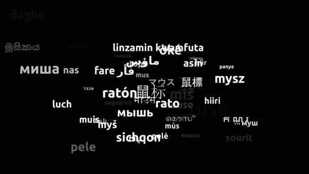 Myš Přeložena Světových Jazycích Nekonečná Smyčka Přiblížení Wordcloud Maska — Stock video