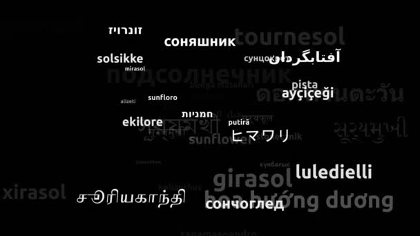 Girasol Traducido Idiomas Mundiales Endless Looping Zoom Wordcloud Mask — Vídeo de stock