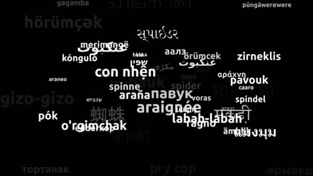 Трансляция Паука Языках Мира Менее Петляющая Трехмерная Zooming Wordcloud Mask — стоковое видео