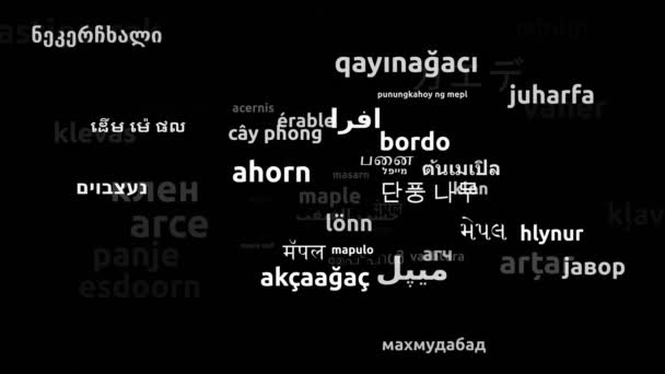 Maple Translated Worldwide Languages Endless Looping Zooming Wordcloud Mask — 비디오