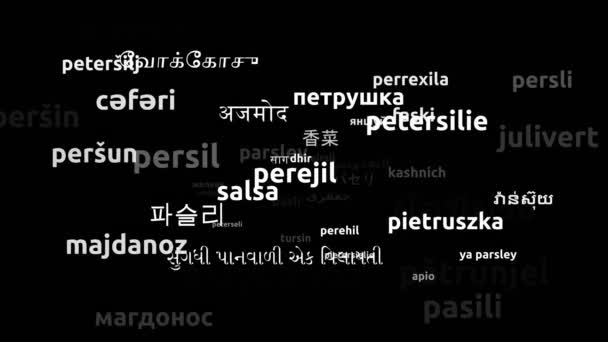 Parsley Diterjemahkan Dalam Bahasa Seluruh Dunia Endless Looping Zooming Wordcloud — Stok Video