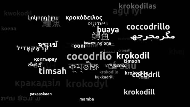 クロコダイル翻訳61世界言語エンドレスループ3Dズームワードクラウドマスク — ストック動画