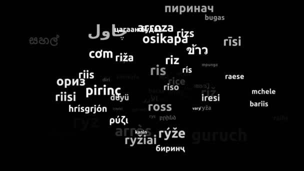 Rice Translated Worldwide Languages Endless Looping Zooming Wordcloud Mask — Stock Video