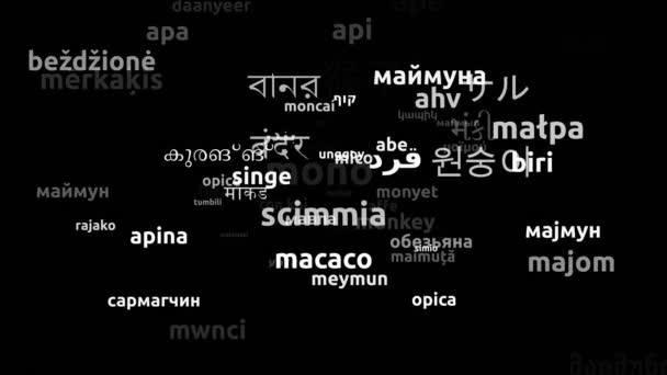 Scimmia Tradotta Lingue Tutto Mondo Infinito Loop Zoom Wordcloud Maschera — Video Stock