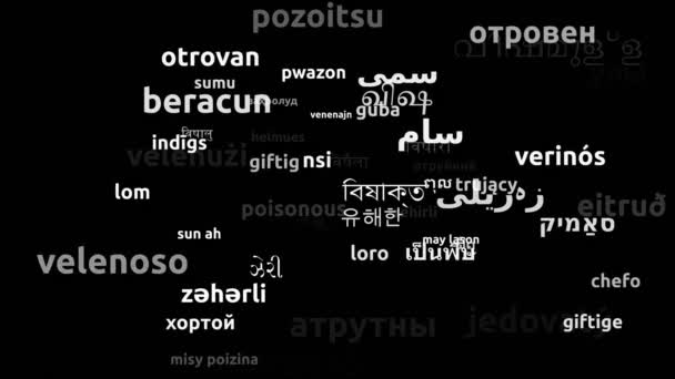 Giftig Vertaald Wereldwijd Talen Endless Looping Zooming Wordcloud Mask — Stockvideo