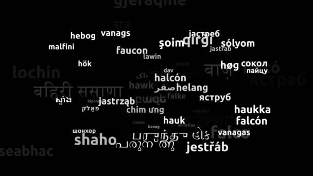 70の世界言語で翻訳されたホークエンドレスループ3Dズーム Wordcloudマスク — ストック動画