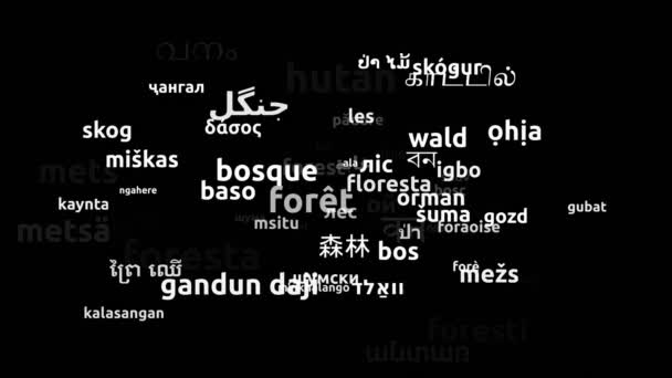 Foresta Tradotta Lingue Tutto Mondo Endless Looping Zoom Wordcloud Mask — Video Stock