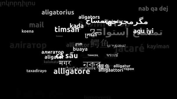 Alligator Traducido Idiomas Mundiales Endless Looping Zoom Wordcloud Mask — Vídeos de Stock