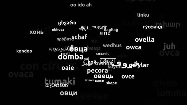 73の世界言語で翻訳された羊無限のループ3Dズームワードクラウドマスク — ストック動画