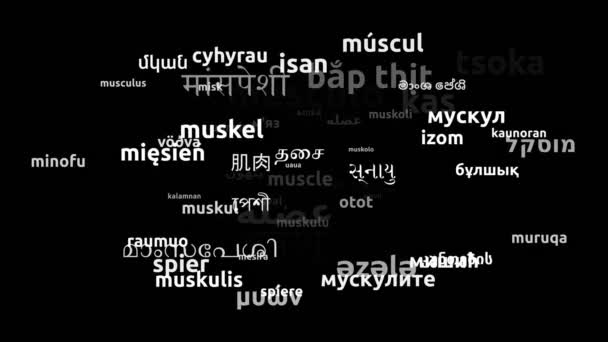 Músculo Traducido Idiomas Mundiales Endless Looping Ampliación Máscara Wordcloud — Vídeos de Stock